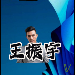 王振宇
